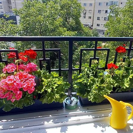 33 Coquette Apartment Baia Mare Exterior foto
