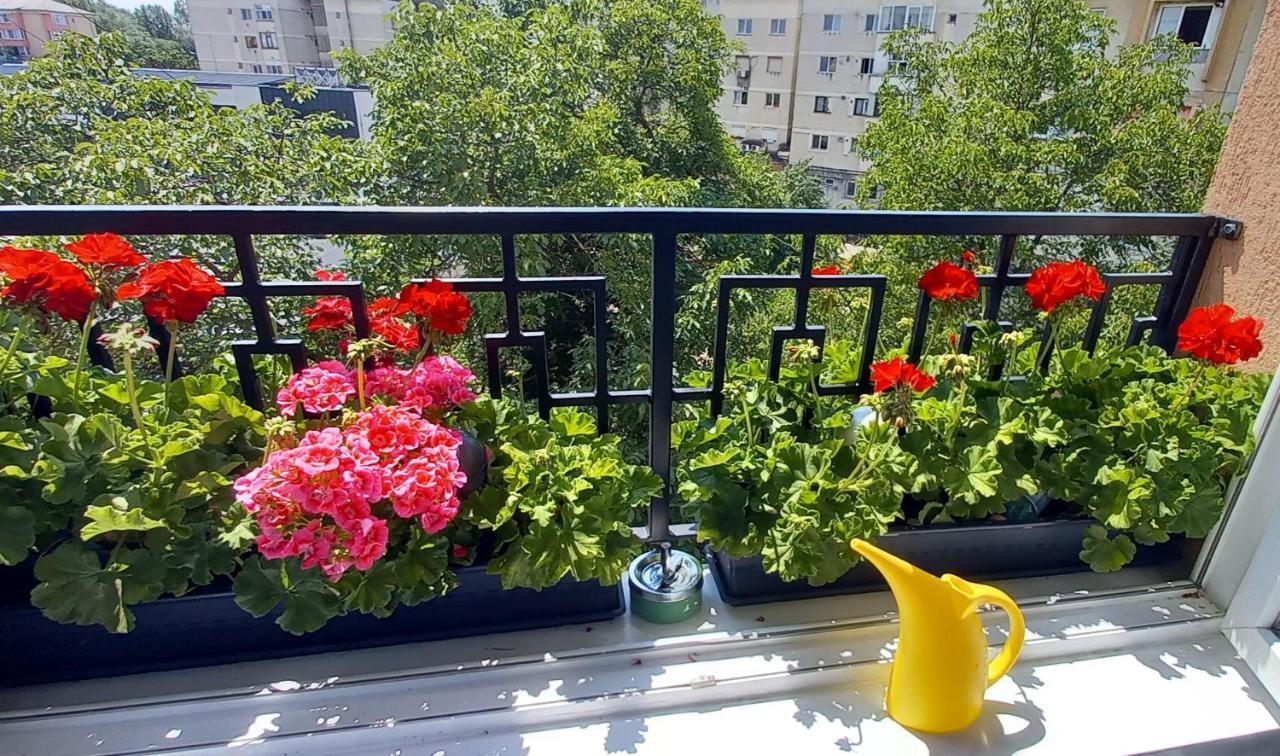 33 Coquette Apartment Baia Mare Exterior foto