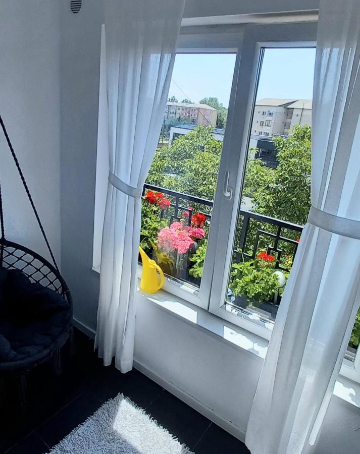 33 Coquette Apartment Baia Mare Exterior foto